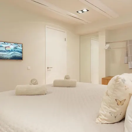 公寓 Newly Renovated Luxurious 200 Sqm Loft In Centre 阿姆斯特丹