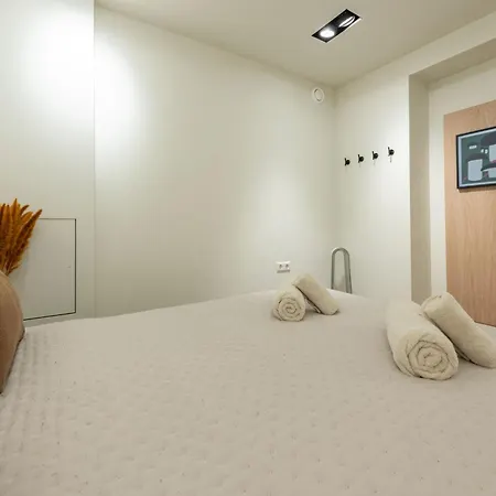 Newly Renovated Luxurious 200 Sqm Loft In Centre