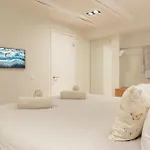 公寓 Newly Renovated Luxurious 200 Sqm Loft In Centre 阿姆斯特丹