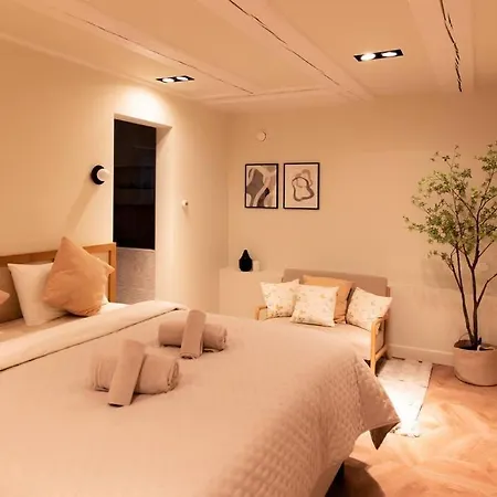 Newly Renovated Luxurious 200 Sqm Loft In Centre Amsterdam