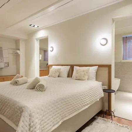 公寓 Newly Renovated Luxurious 200 Sqm Loft In Centre 阿姆斯特丹